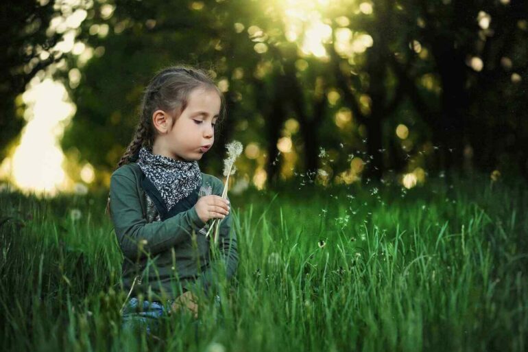 little girl blowing dandelion seeds - Dandelions: Useful in Both Folk Medicine and the Modern World