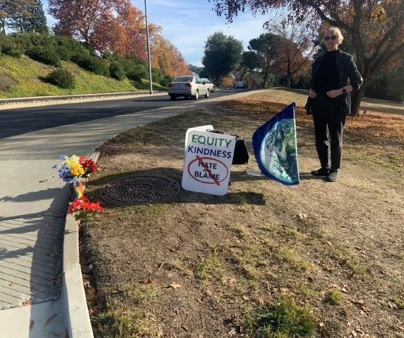 Mary Ellen Ratcliff standing roadside with her protest signs - Agency Personified: An Interview With a Social Justice Activist