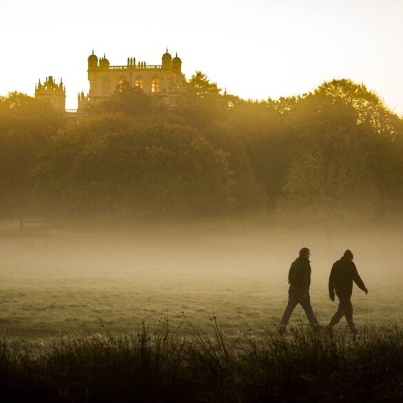 Two men taking walk in nature on foggy day - A Sacred Earth Covenant: Honouring Our Earth in 4 Different Ways