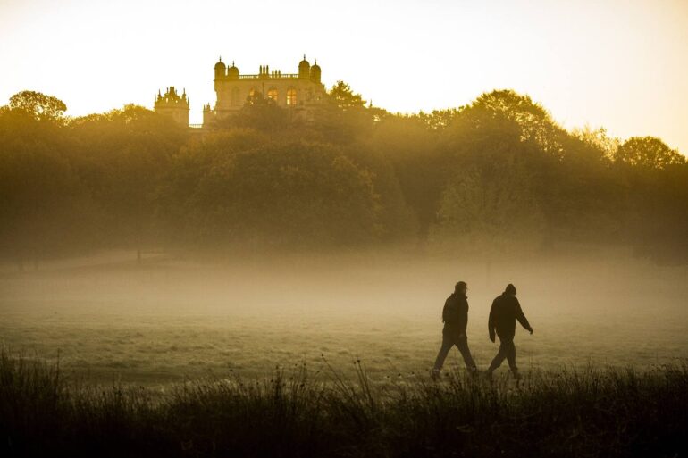 Two men taking walk in nature on foggy day - A Sacred Earth Covenant: Honouring Our Earth in 4 Different Ways