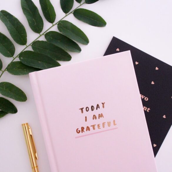Gratitude journal - Cultivate Gratitude: Tap Into Its Power Anywhere, at Any Moment