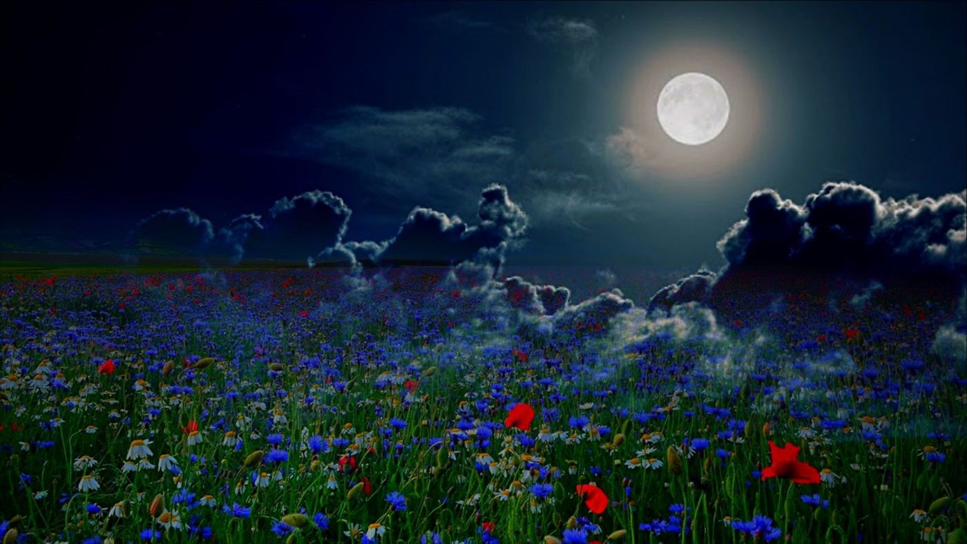 RECOVERING SERENITY UNDER THE FLOWER MOON: Solace in a moonlit garden 13 Full moon in garden at night