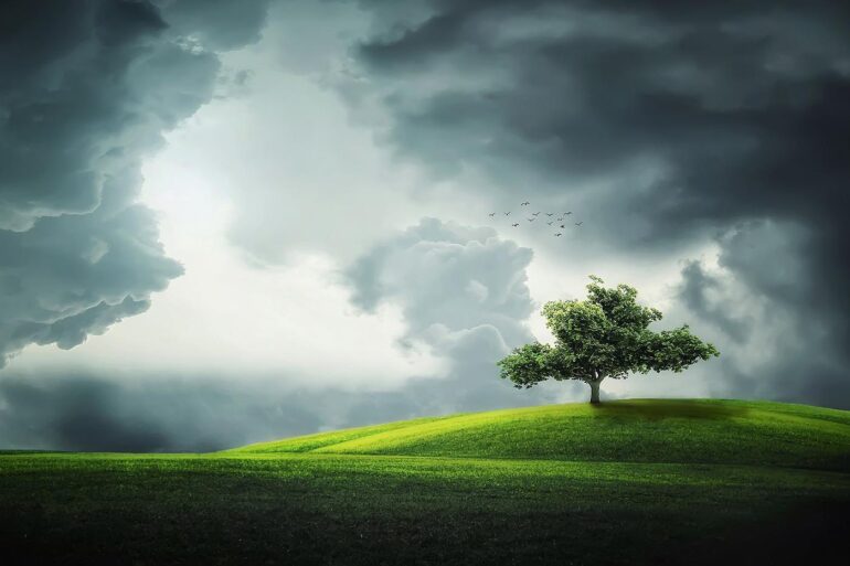 Lone tree in cloudy field - 3 Poems That Promote Peace, Including "Eternal Sleep"