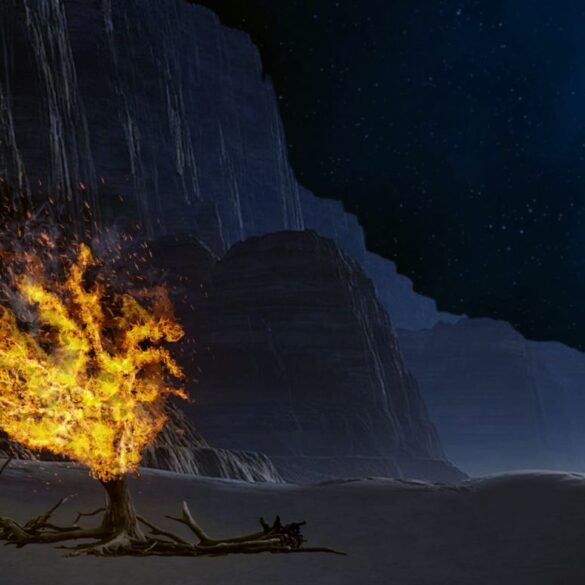 Biblical burning bush - Fully Alive: A Bishop and an Atheist Chat About God