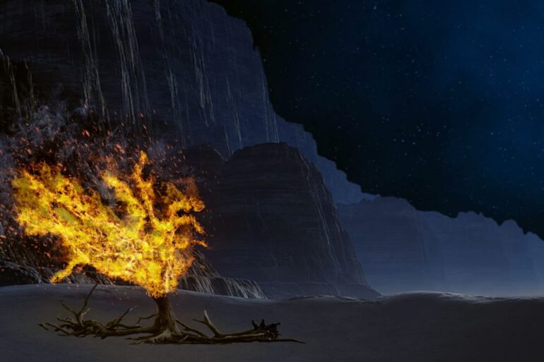 Biblical burning bush - Fully Alive: A Bishop and an Atheist Chat About God