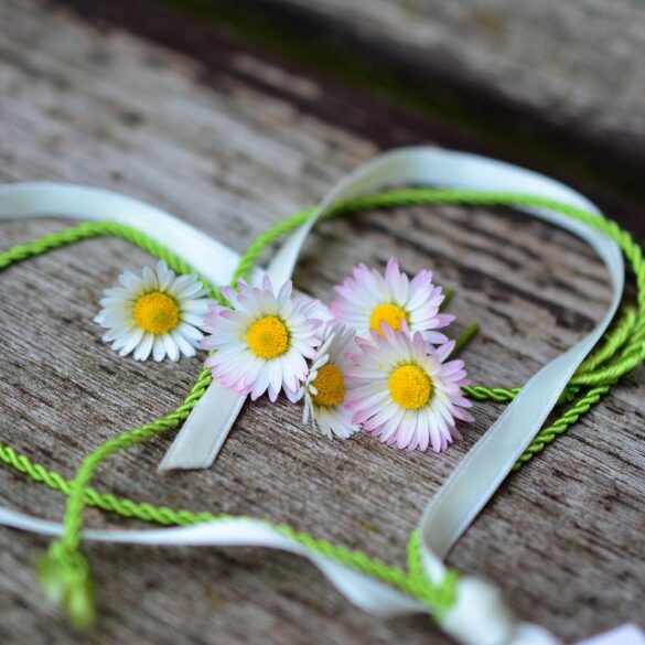 Heart made from ribbons with daisies in the middle - The dangers of dogmatic thinking in the American community