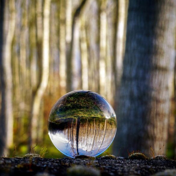 Glass sphere reflecting upside-down image of forest - Become Aware of Being Unaware to Minimize Suffering