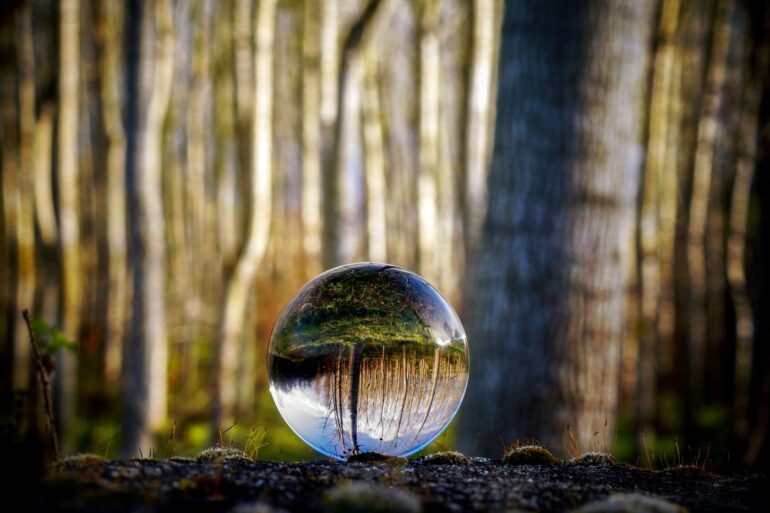 Glass sphere reflecting upside-down image of forest - Become Aware of Being Unaware to Minimize Suffering