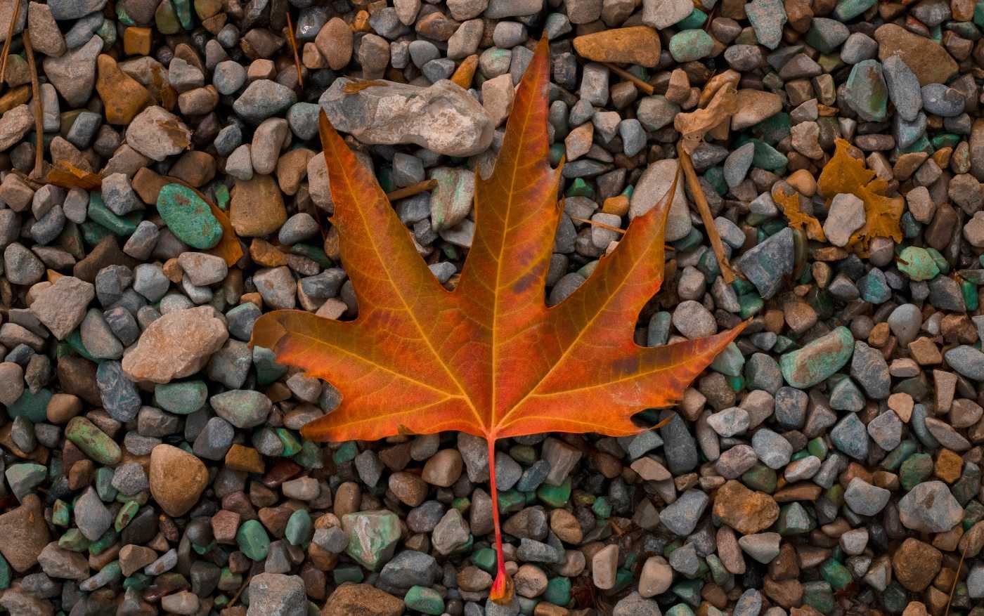 POEMS BY OLIVIA HAJIOFF: Song Without Melody, Poem Without Words, The Sunken 13 Autumn leaf that has fallen on small stones - 3 Poems About Life’s Journey, Including ”Poem Without Words”