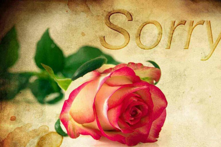 STOIC IN TRAINING: Saying "I'm sorry" 22 Rose with word sorry - How Stoics Turn a "Bad" Thing Into a Good Opportunity