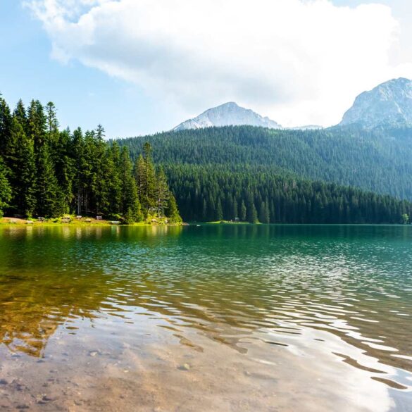 Black Lake and surrounding trees and mountains in Montenegro