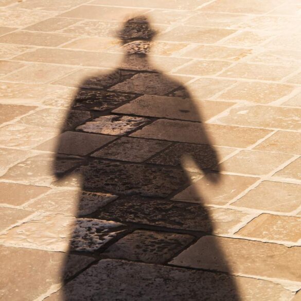 Person's shadow on brick ground - America in Transition: Which of These 2 Paths Will Save Us?