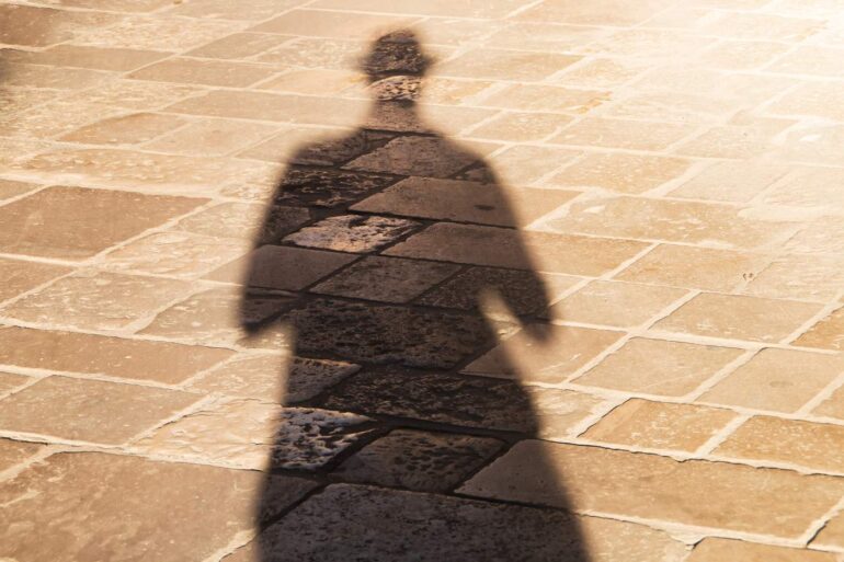 LET'S MOVE ON FROM OUR SHADOW SELVES: The path towards awareness, compassion and kindness 19 Person's shadow on brick ground - America in Transition: Which of These 2 Paths Will Save Us?