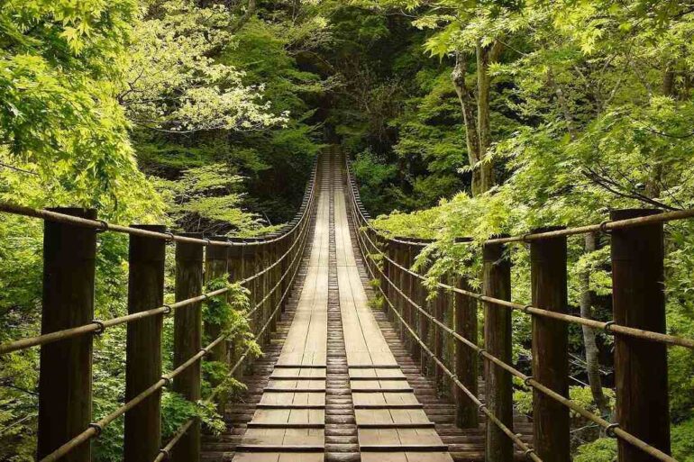 suspension bridge hananuki gorge