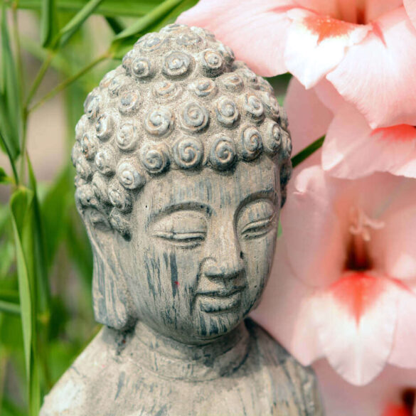 Buddha statue next to pink flower - Create Karma: What Karma Is and How to Affect Your Own