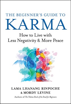 Front cover of The Beginner's Guide to Karma