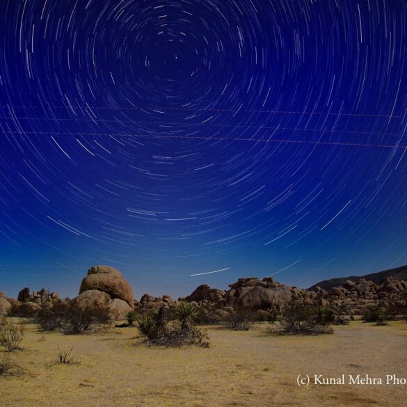 Desert near Arch Rock at Joshua Tree park in California - Finding Your Purpose Without Extensive Travel or Money