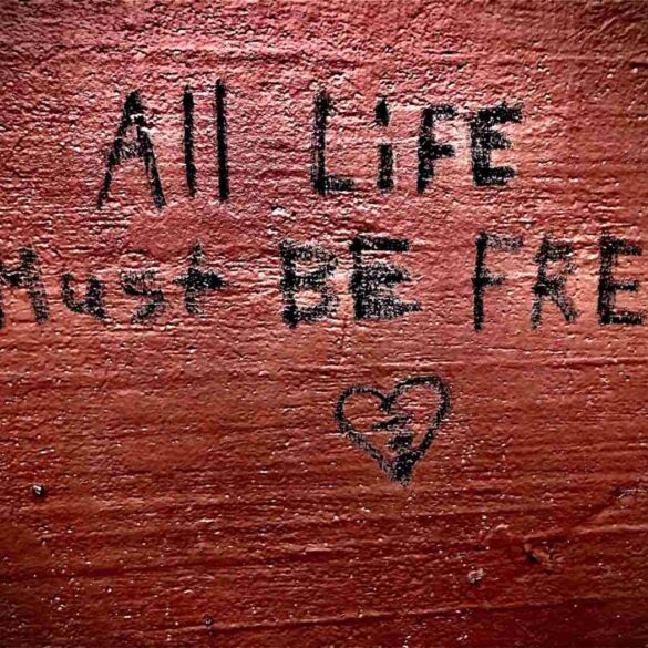 All Life Must Be Free written on reddish-brown wooden background