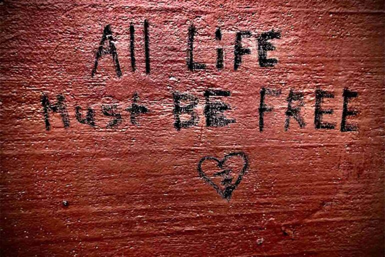 All Life Must Be Free written on reddish-brown wooden background