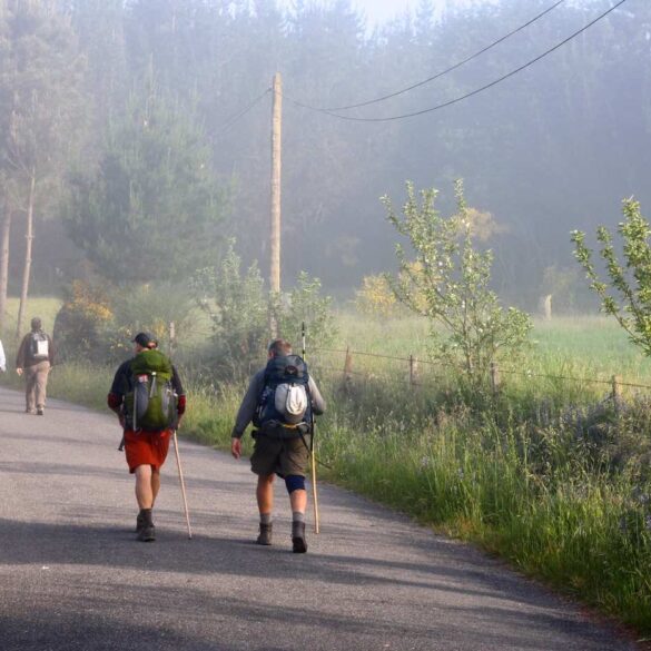 Walkers on Camino de Santiago trail