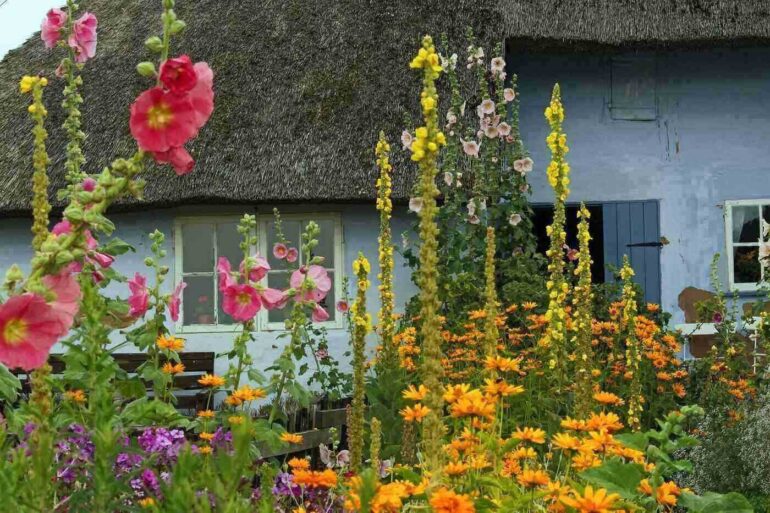 Old house with garden outside - A Gift of Peace: 40 Years of Being a Yutori Gardener