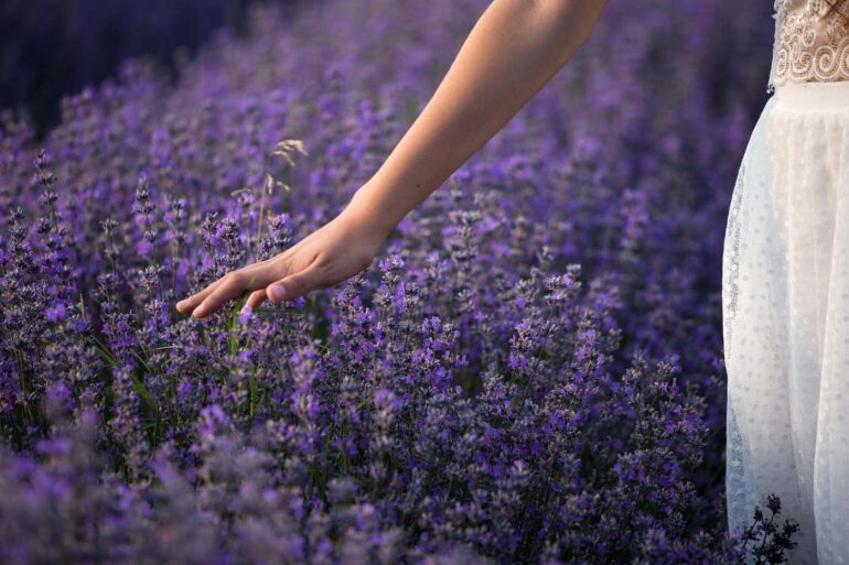 Woman's hand touching lavender flowers outdoors - Magical Gardening and Parenting: It’s All About Love