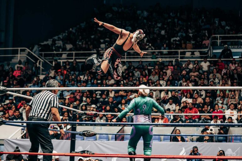 THE MINDFULNESS OF PRO WRESTLING: Or, don't be a "mark"! 13 Professional wrestling move during match