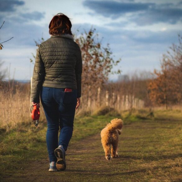 Woman walking dog off-leash down outdoor path - How a Quiet Mind Awakens Intuition and Compassion