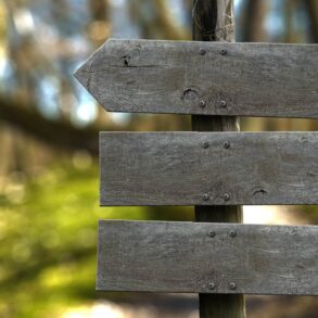 Three wooden markers on signpost on outdoor path - The 3 Powerful Words That Became Markers on My Mindful Path