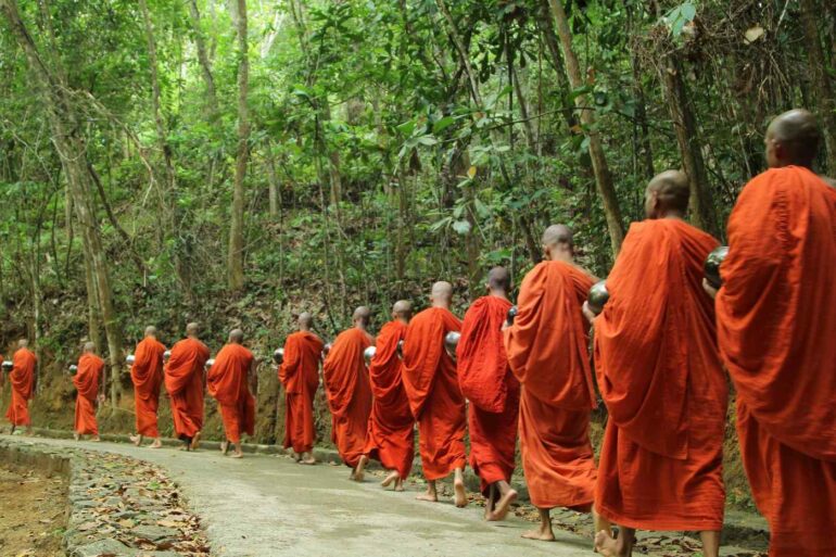 Group of Buddhist monks walking down path through trees - Finding Inner Peace With 20 Brave Buddhist Monks