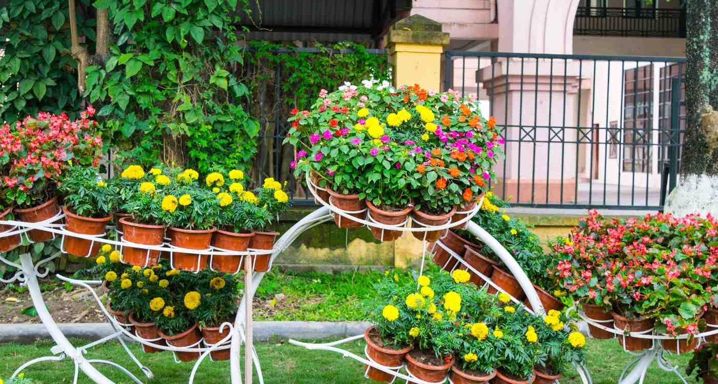 Plants in terra cotta pots displayed in garden