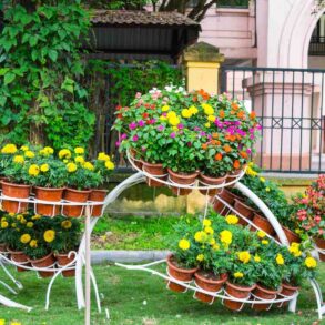 Plants in terra cotta pots displayed in garden