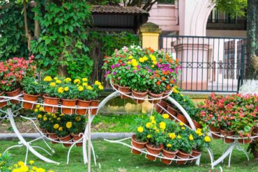 Plants in terra cotta pots displayed in garden