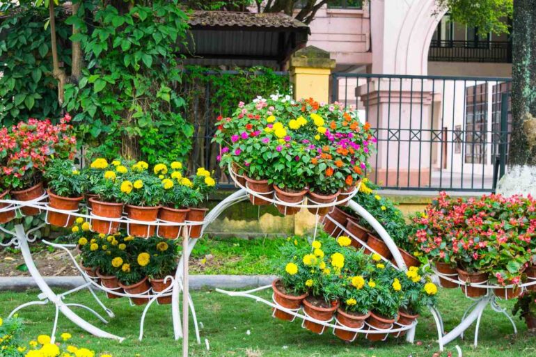 Plants in terra cotta pots displayed in garden