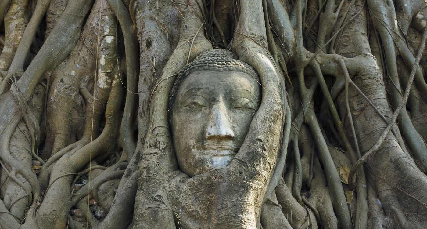Buddha face carved into Bodhi tree - Awakened Buddhahood: The Ultimate State of Happiness