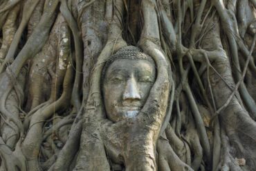 Buddha face carved into Bodhi tree - Awakened Buddhahood: The Ultimate State of Happiness