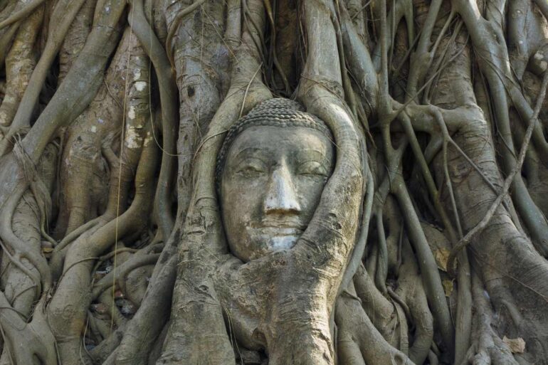HAPPINESS VS. SUFFERING: From a Buddhist perspective, are they really opposites? 13 Buddha face carved into Bodhi tree - Awakened Buddhahood: The Ultimate State of Happiness