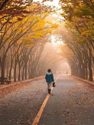 Woman walking down road with gold and green trees - "My Daily Walk" and 4 More Authentic Poems About the World