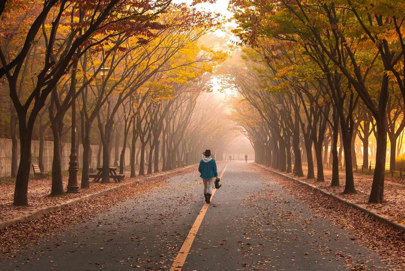 POEMS BY DHARA VIJAYAKUMAR: Herself, My Daily Walk and more 13 Woman walking down road with gold and green trees - "My Daily Walk" and 4 More Authentic Poems About the World