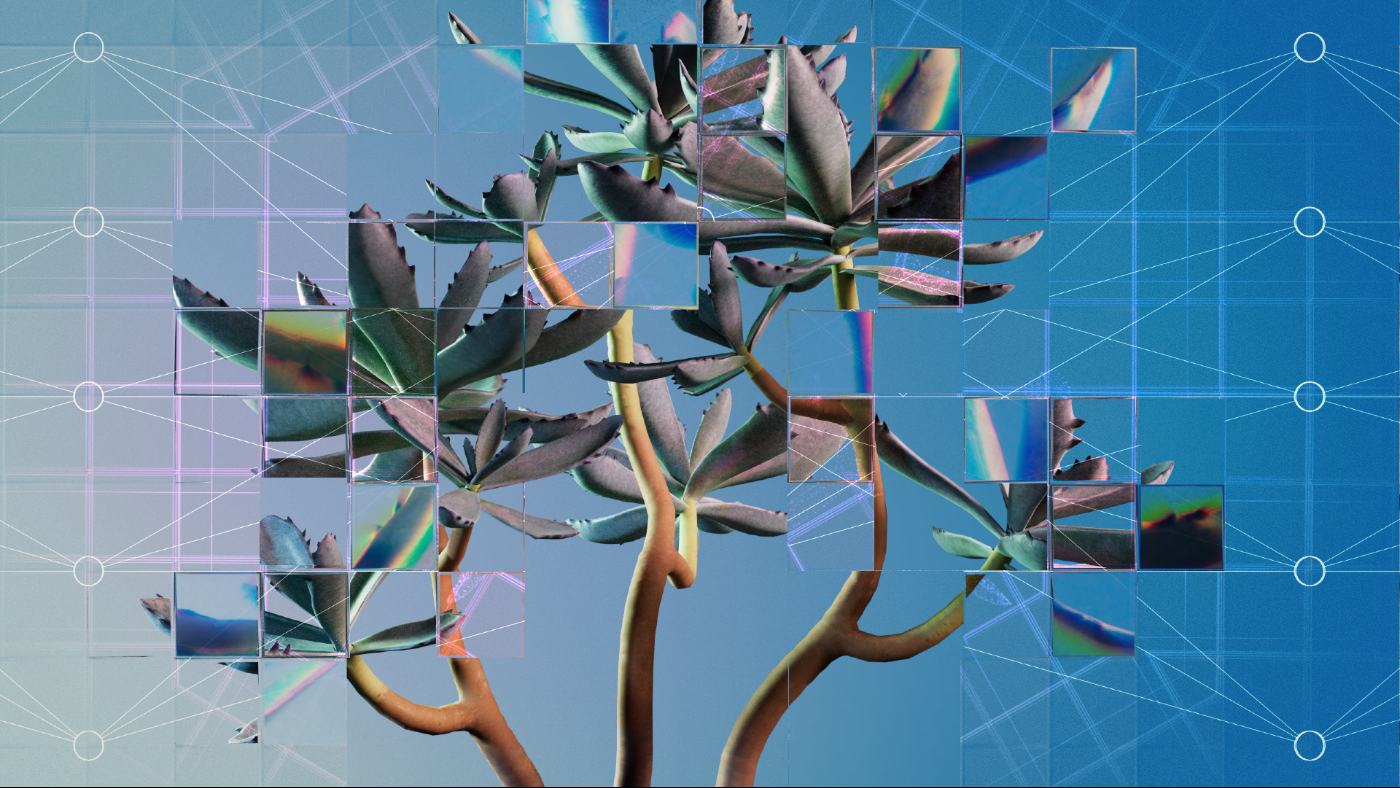 INTELLIGENCE: What if it isn't what we think it is? 14 Fragmented view of succulent plant - Human Intelligence: Not the Only Legitimate Type?