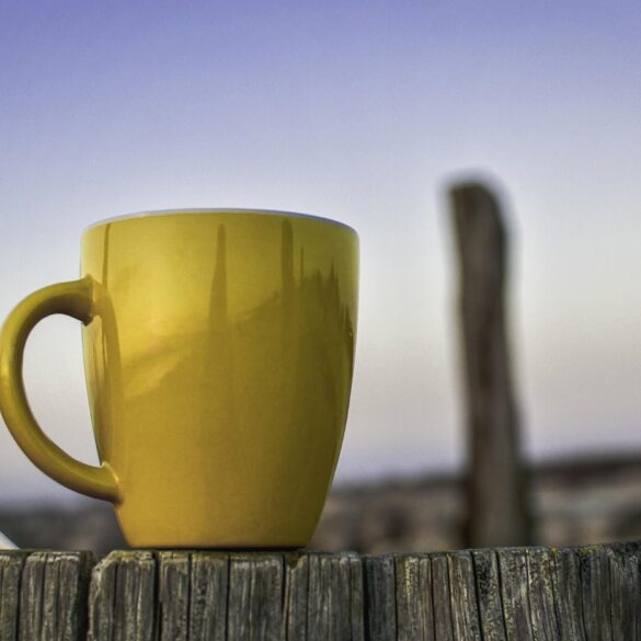Cup of tea on fence outdoors with blue sky in background - Gratitude for Ordinary Life: Find Beauty in Everyday Moments