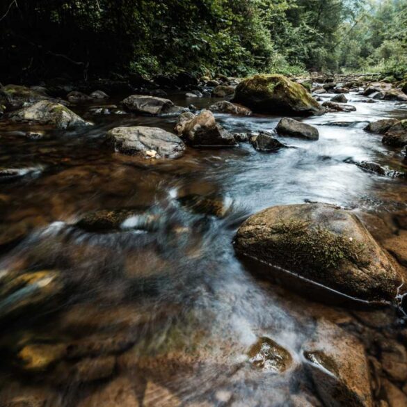 Stream flowing over rocks