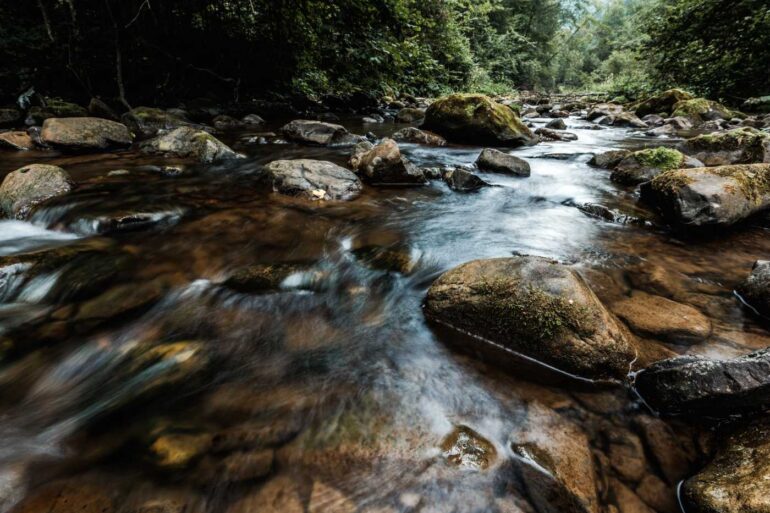 Stream flowing over rocks
