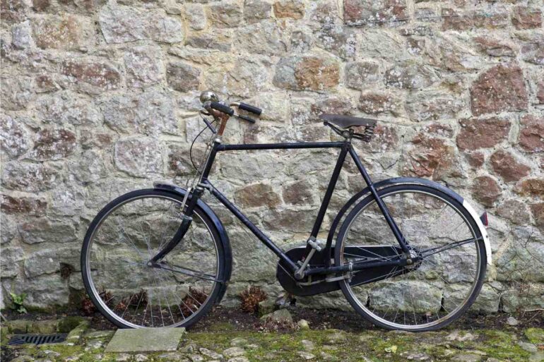 POEMS BY DHARA VIJAYAKUMAR: A Little Moment That Loved Me Back, Lost in the Crowd and more 13 Traditional bicycle parked outdoors against stone wall - "Creepy Creatures" and 4 More New Poems About Life’s Seasons