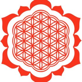 flower of life mandala